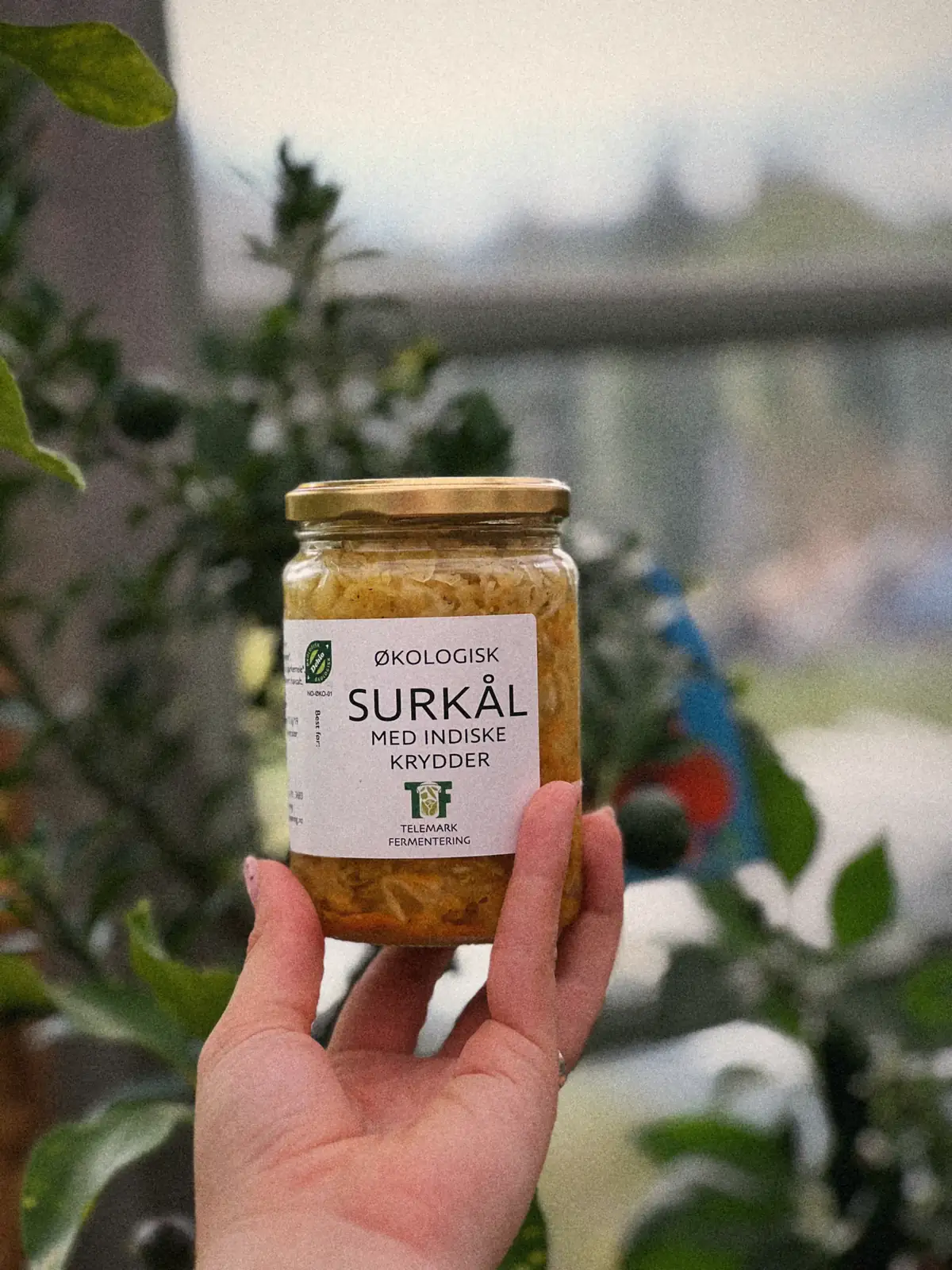 Et glass surkål med indiske krydder holdt opp ute i hagen